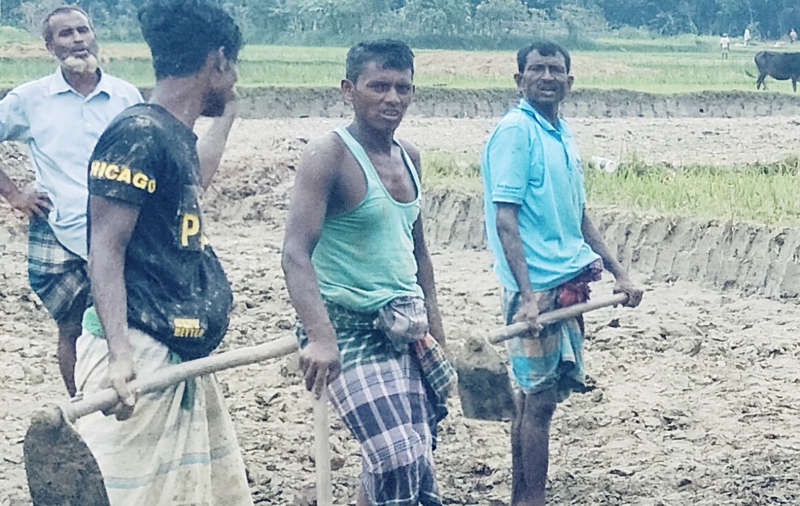 লক্ষ্মীপুরে কৃষি জমির মাটি যাচ্ছে ইটভাটায়, ফসল-সড়কের ক্ষতি