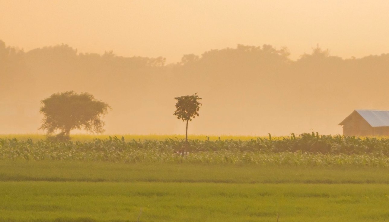 তাপমাত্রা নামল ৮ ডিগ্রির ঘরে, শৈত্যপ্রবাহের কবলে পঞ্চগড়