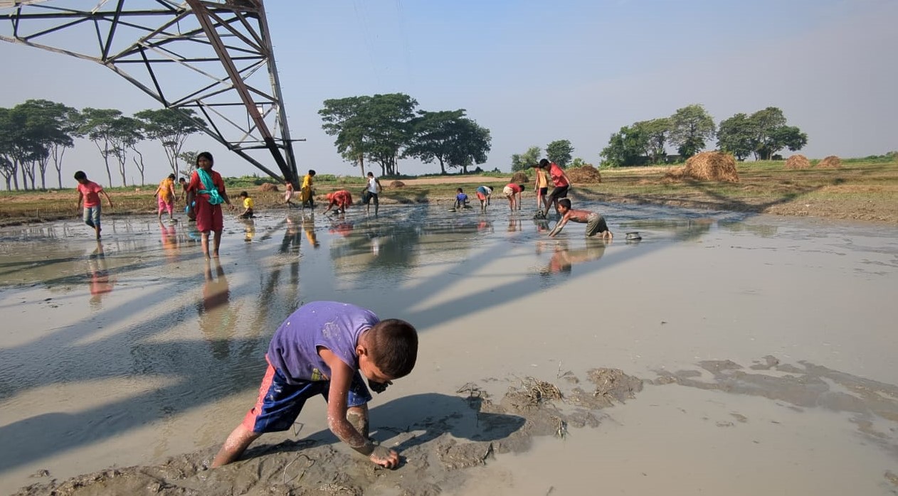 বাঞ্ছারামপুরে হারিয়ে যাচ্ছে চিরচেনা মাছ ধরার দৃশ্য