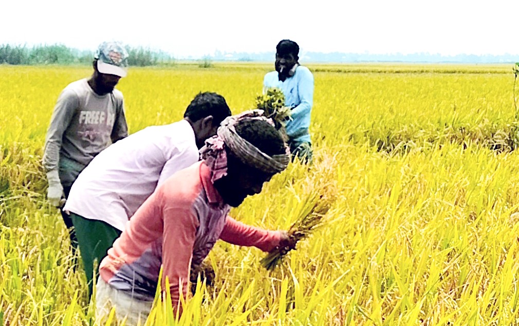 জামালগঞ্জে বৈশাখের তীব্র তাপদাহে অতিষ্ঠ জনজীবন